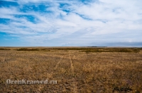 Укреплённое поселение Аландское (Аландское городище). Июль 2012 года