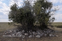 Старое кладбище близ реки Кийма. Июль 2012 года