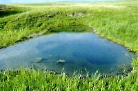 Родник Изумрудный