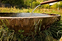 Родник Белый ключ