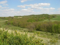 Русско-Швейцарские колки