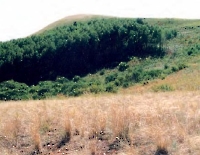 Гора Крутая