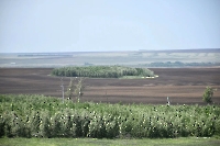 Частые колки