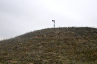 Урочище Царь-Бархан