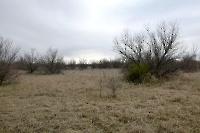 Урочище Ильмень