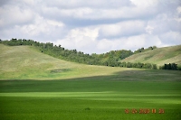 Каргалинско-Самарские сыртовые колки