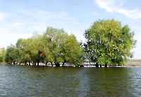 Свечковский пруд