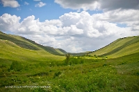 Айтуарская степь (участок госзаповедника «Оренбургский»)