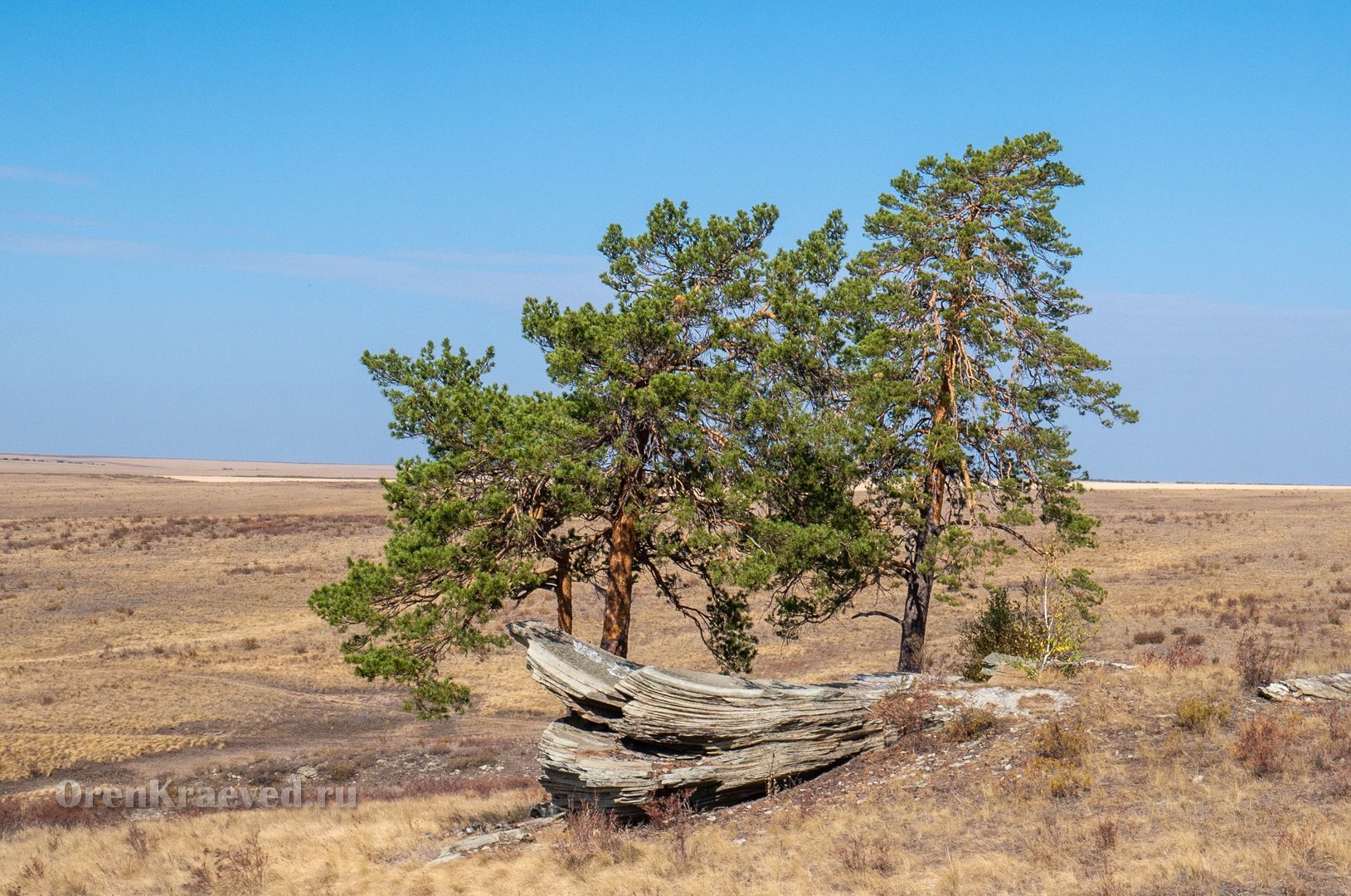 Карагайский бор и ущелье на реке Губерле