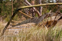Бывший лагерь «Чайка». Июль 2012 года