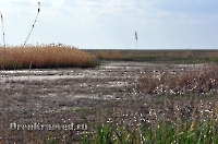 Жетыкольская песчаная коса. Май 2012 года