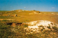 Верблюжья горка