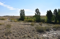 Верхнеджусинские лески на гранитах