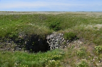 Пещера Папоротник