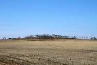 Винокурова Шишка