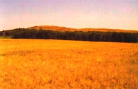 Гусихинская степь