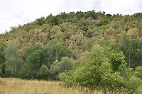 Хребет Малый Накас