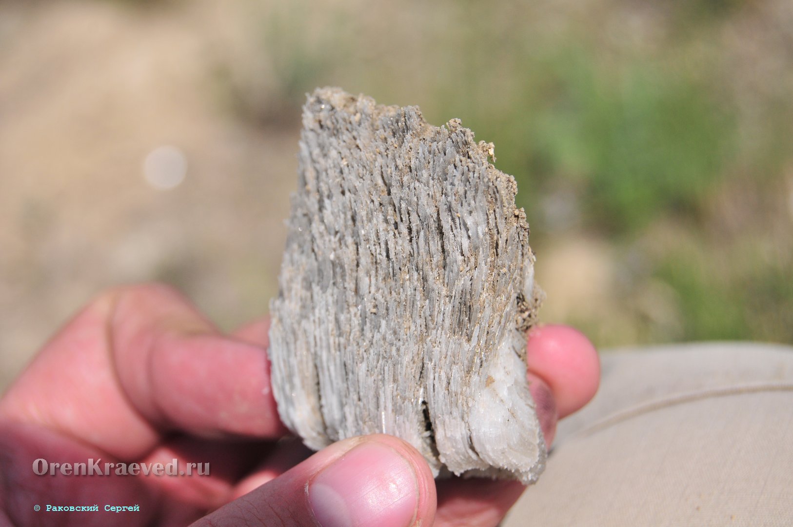 Кзыладырское карстовое поле. Май 2013 года