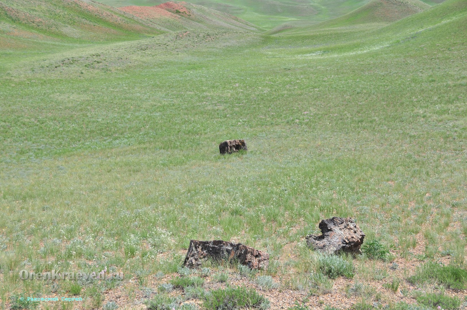 Кзыладырское карстовое поле. Май 2013 года
