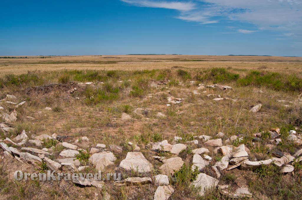 Курганный могильник Солончанка II. Июль 2012 года