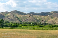 Урочище Верблюжьи Кочки. Июнь 2023 года