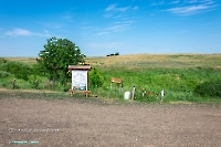 Родник Белоглинка. Июнь 2023 года