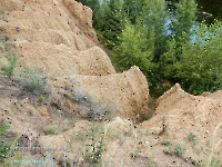 Нижнеильинский яр. Август 2023 года