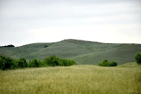 Гора Медвежий лоб (Арапова гора)