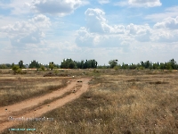 Заячья роща. Август 2023 года