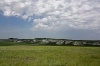 Чесноковские Белые горы. 2014 год