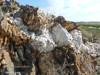 Тыкашинская толща. Август 2023 года