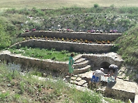 Родник Бараковский