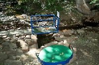 Родник Струковский. Сентябрь 2021 года