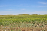 Горы Кармен. Май 2013 года