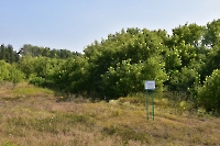 Лесопарк на усадьбе А.Н. Карамзина в с. Полибино