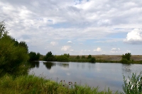 Форелевые ручьи с. Емелькино