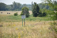 Донской дубняк