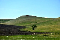 Гришкина гора (Спиридоновская гора)