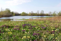 Урочище Занога