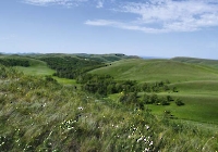 Кочевка Перовского