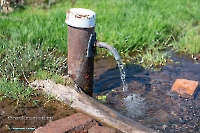 Родник близ посёлка Вторая Пятилетка. Апрель 2025 года