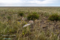 Тур. Июнь 2025 года