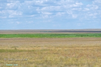 Озеро Батпакты. Июнь 2025 года