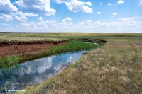 Ащисайский пруд. Июнь 2025 года