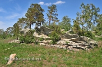 Карагайский бор и ущелье на реке Губерле