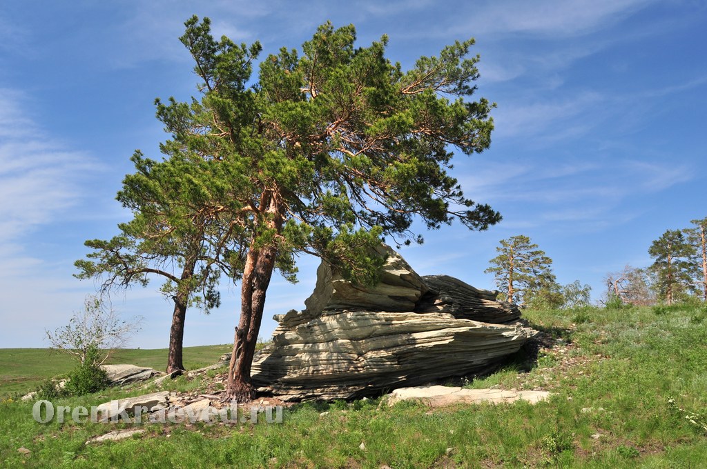 Карагайский бор и ущелье на реке Губерле