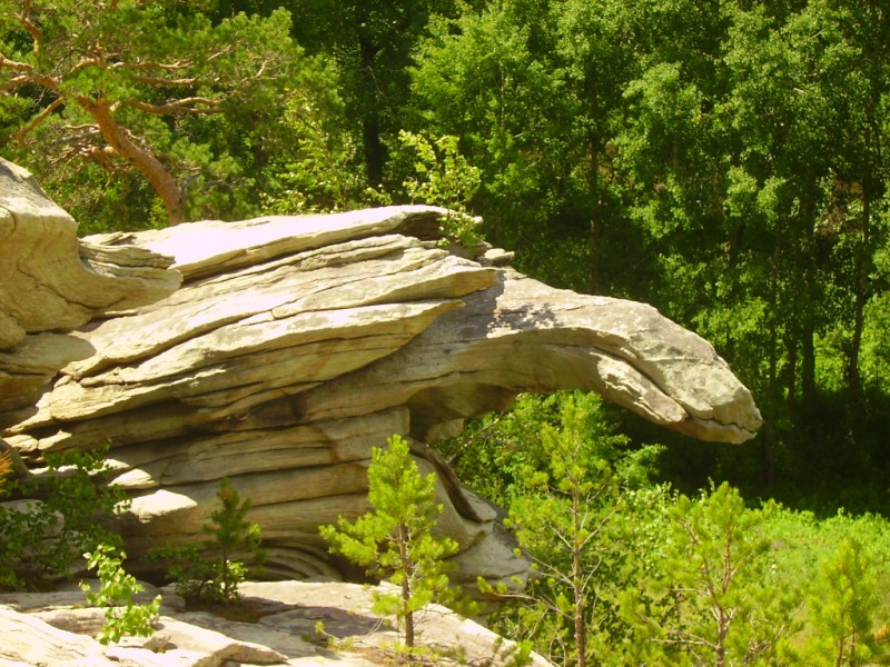 Скала «Черепаха». Карагайский бор и ущелье на реке Губерле
