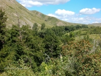 Яманское ущелье. 2016 год