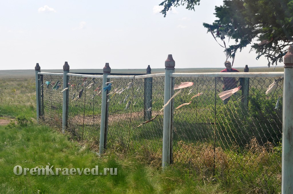 Реликтовая лиственница. Май 2012 года