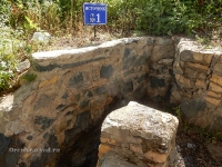 Родник «Придорожный». 2016 год